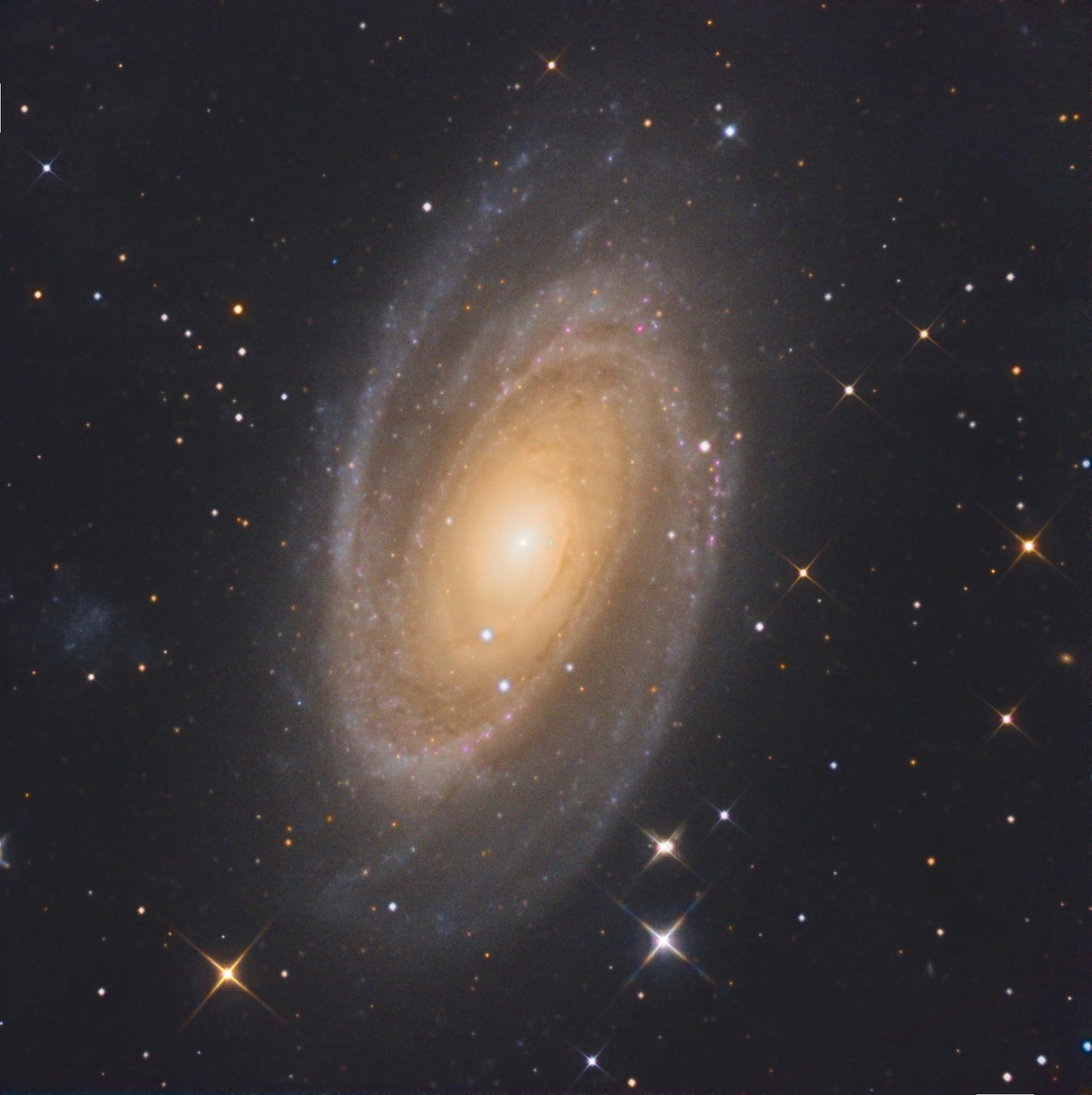 GALASSIA DI BODE (M81) COSTELLAZIONE ORSA MAGGIORE