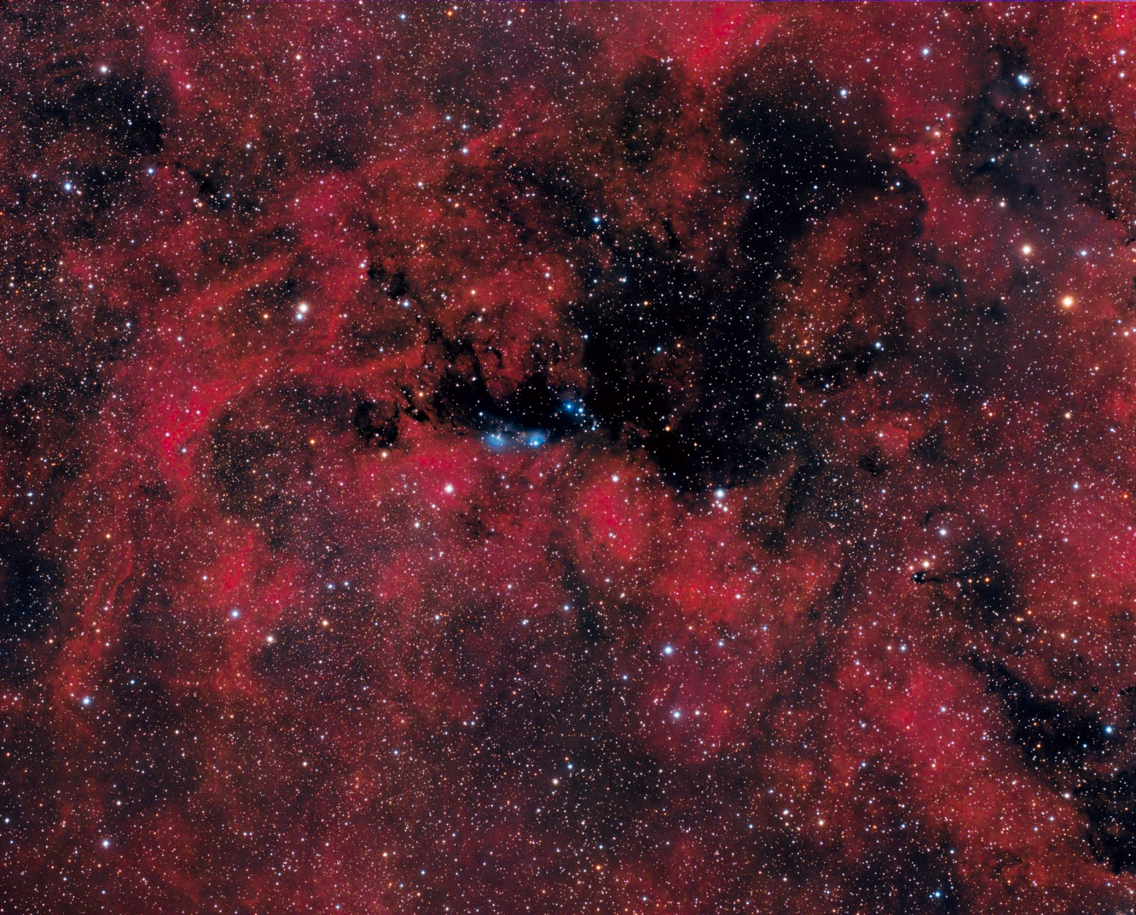 NGC 6914 Nebulosa  a riflessione nella Costellazione del Cigno