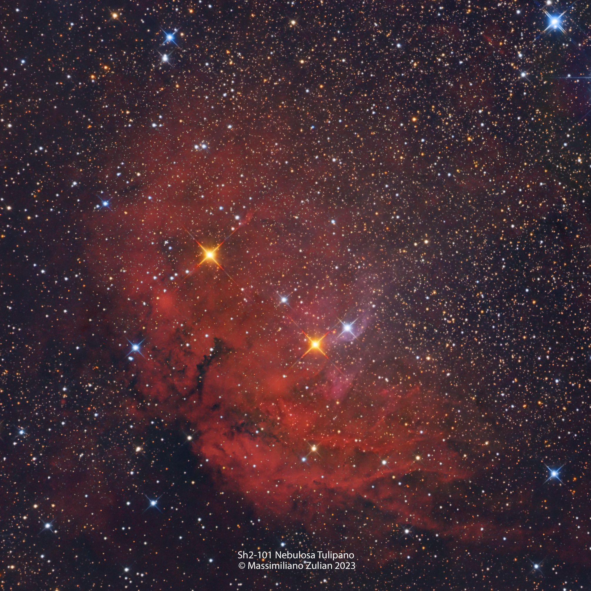 SH2-101 NEBULOSA TRIFIDA