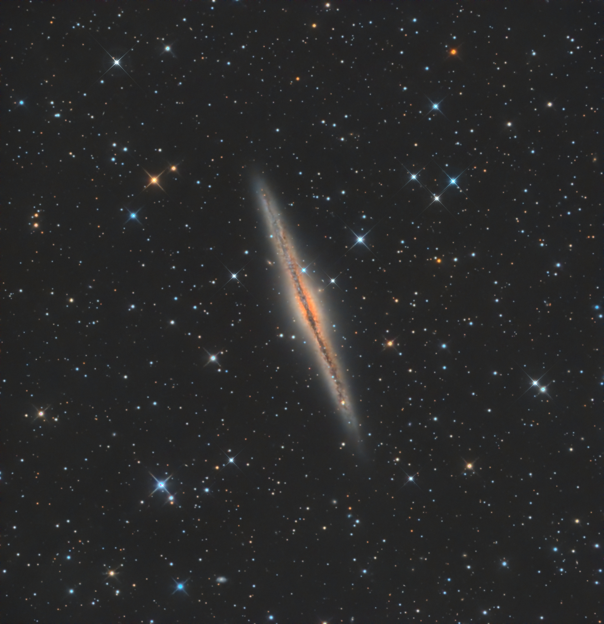 NGC 891 Galassia Costellazione di Andromeda